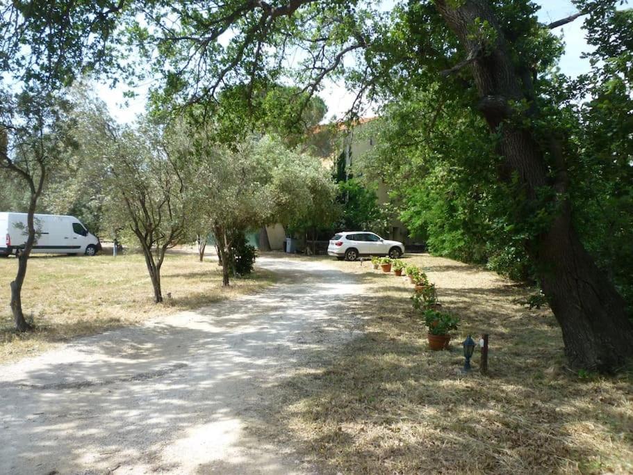 Duplex 130M2 Dans Un Mas Entoure De Vergers - Piscine Saint-Feliu-d'Avall Zewnętrze zdjęcie