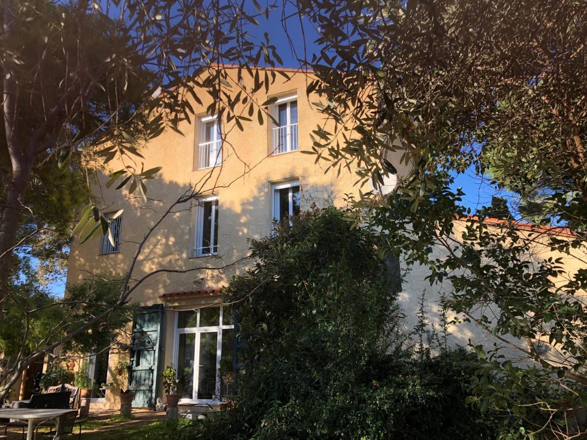 Duplex 130M2 Dans Un Mas Entoure De Vergers - Piscine Saint-Feliu-d'Avall Zewnętrze zdjęcie